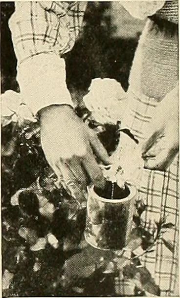 An illustration from House & garden's book of gardens; containing over four hundred illustrations of special flower types, plans and suggestions for landscape work, a complete gardener's calendar of the year's activities, planting and spraying tables, and a portfolio of beautiful gardens in varied sections of the United States and foreign countries, 1921, leaf 112
