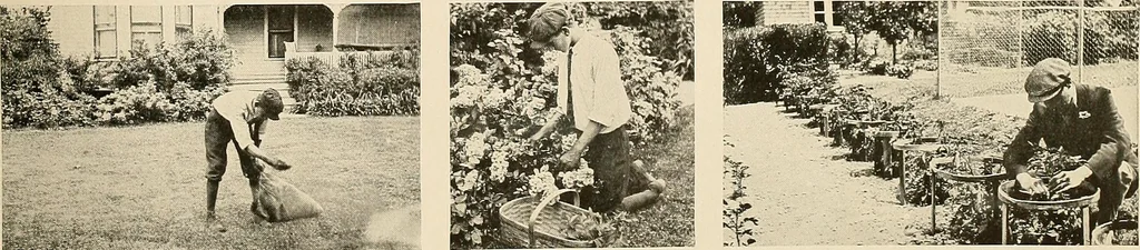 An illustration from House & garden's book of gardens; containing over four hundred illustrations of special flower types, plans and suggestions for landscape work, a complete gardener's calendar of the year's activities, planting and spraying tables, and a portfolio of beautiful gardens in varied sections of the United States and foreign countries, 1921, leaf 112