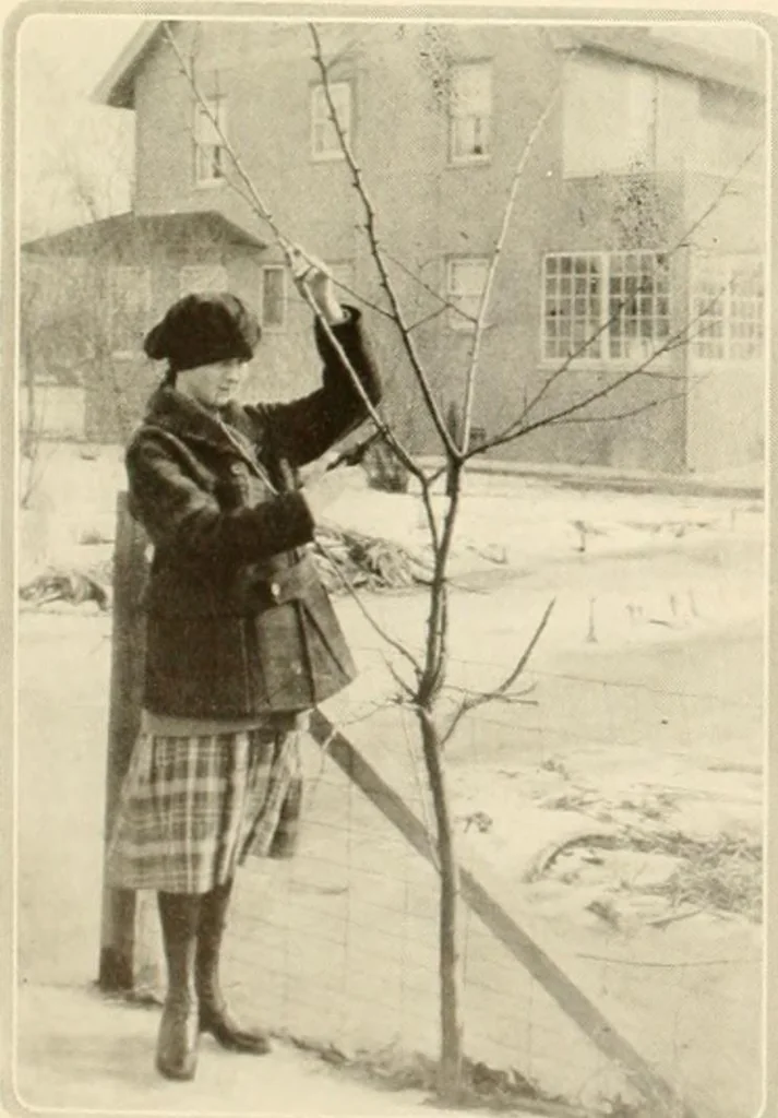An illustration from House & garden's book of gardens; containing over four hundred illustrations of special flower types, plans and suggestions for landscape work, a complete gardener's calendar of the year's activities, planting and spraying tables, and a portfolio of beautiful gardens in varied sections of the United States and foreign countries, 1921, leaf 113