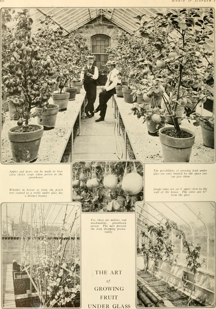 An illustration from House & garden's book of gardens; containing over four hundred illustrations of special flower types, plans and suggestions for landscape work, a complete gardener's calendar of the year's activities, planting and spraying tables, and a portfolio of beautiful gardens in varied sections of the United States and foreign countries, 1921, leaf 115