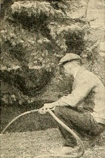 An illustration from House & garden's book of gardens; containing over four hundred illustrations of special flower types, plans and suggestions for landscape work, a complete gardener's calendar of the year's activities, planting and spraying tables, and a portfolio of beautiful gardens in varied sections of the United States and foreign countries, 1921, leaf 116