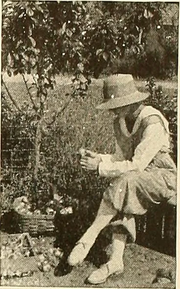 An illustration from House & garden's book of gardens; containing over four hundred illustrations of special flower types, plans and suggestions for landscape work, a complete gardener's calendar of the year's activities, planting and spraying tables, and a portfolio of beautiful gardens in varied sections of the United States and foreign countries, 1921, leaf 116