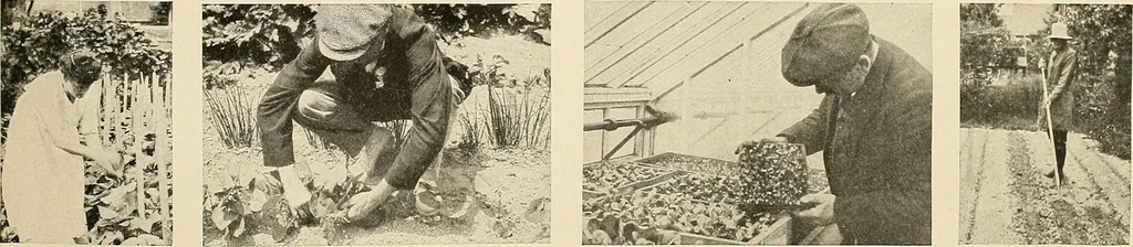 An illustration from House & garden's book of gardens; containing over four hundred illustrations of special flower types, plans and suggestions for landscape work, a complete gardener's calendar of the year's activities, planting and spraying tables, and a portfolio of beautiful gardens in varied sections of the United States and foreign countries, 1921, leaf 116