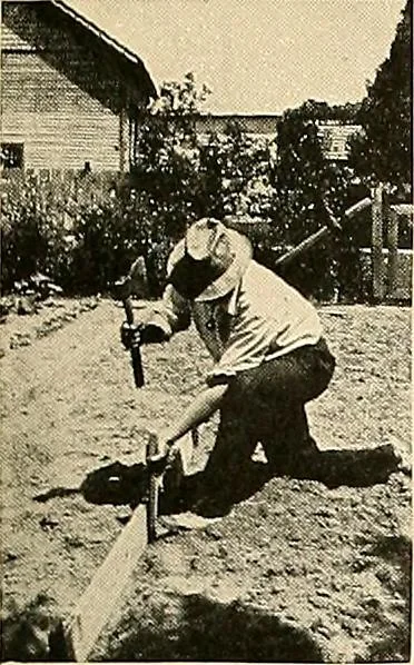 An illustration from House & garden's book of gardens; containing over four hundred illustrations of special flower types, plans and suggestions for landscape work, a complete gardener's calendar of the year's activities, planting and spraying tables, and a portfolio of beautiful gardens in varied sections of the United States and foreign countries, 1921, leaf 118