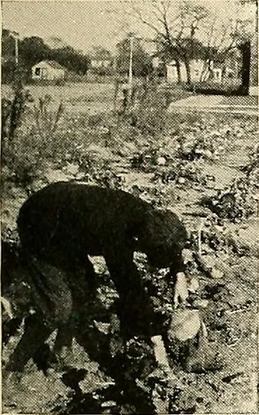An illustration from House & garden's book of gardens; containing over four hundred illustrations of special flower types, plans and suggestions for landscape work, a complete gardener's calendar of the year's activities, planting and spraying tables, and a portfolio of beautiful gardens in varied sections of the United States and foreign countries, 1921, leaf 118
