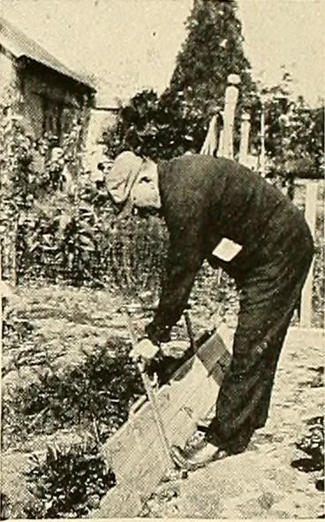 An illustration from House & garden's book of gardens; containing over four hundred illustrations of special flower types, plans and suggestions for landscape work, a complete gardener's calendar of the year's activities, planting and spraying tables, and a portfolio of beautiful gardens in varied sections of the United States and foreign countries, 1921, leaf 118
