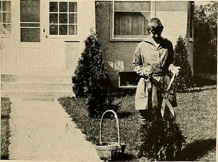 An illustration from House & garden's book of gardens; containing over four hundred illustrations of special flower types, plans and suggestions for landscape work, a complete gardener's calendar of the year's activities, planting and spraying tables, and a portfolio of beautiful gardens in varied sections of the United States and foreign countries, 1921, leaf 118
