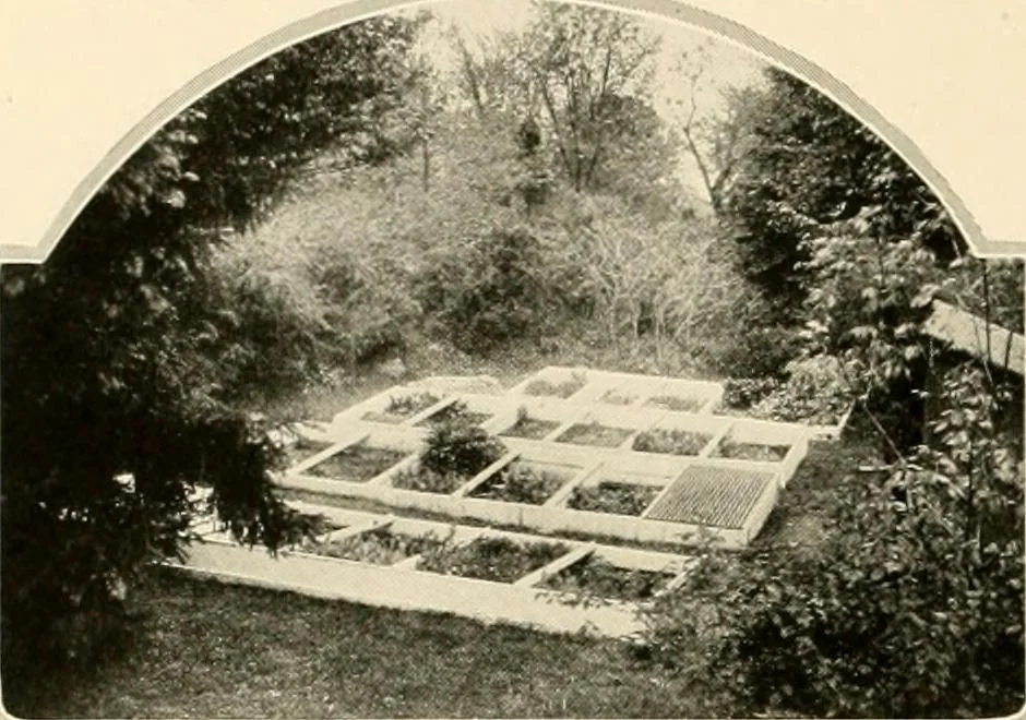 An illustration from House & garden's book of gardens; containing over four hundred illustrations of special flower types, plans and suggestions for landscape work, a complete gardener's calendar of the year's activities, planting and spraying tables, and a portfolio of beautiful gardens in varied sections of the United States and foreign countries, 1921, leaf 119