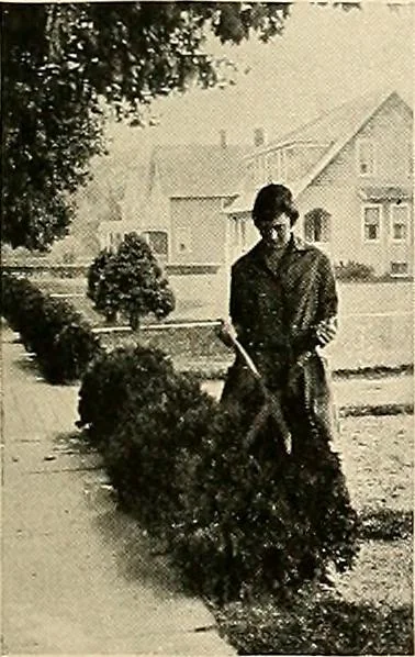 An illustration from House & garden's book of gardens; containing over four hundred illustrations of special flower types, plans and suggestions for landscape work, a complete gardener's calendar of the year's activities, planting and spraying tables, and a portfolio of beautiful gardens in varied sections of the United States and foreign countries, 1921, leaf 120