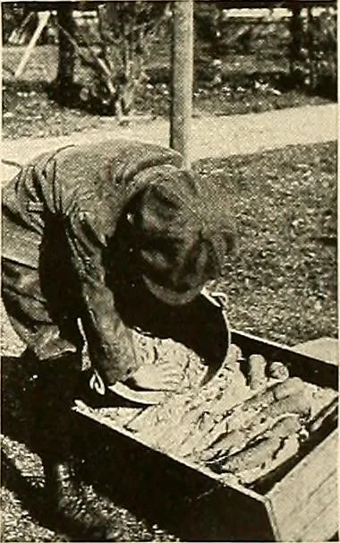 An illustration from House & garden's book of gardens; containing over four hundred illustrations of special flower types, plans and suggestions for landscape work, a complete gardener's calendar of the year's activities, planting and spraying tables, and a portfolio of beautiful gardens in varied sections of the United States and foreign countries, 1921, leaf 120