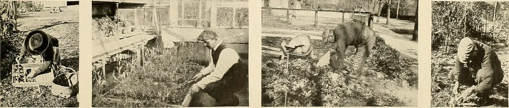 An illustration from House & garden's book of gardens; containing over four hundred illustrations of special flower types, plans and suggestions for landscape work, a complete gardener's calendar of the year's activities, planting and spraying tables, and a portfolio of beautiful gardens in varied sections of the United States and foreign countries, 1921, leaf 120
