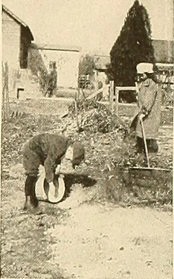 An illustration from House & garden's book of gardens; containing over four hundred illustrations of special flower types, plans and suggestions for landscape work, a complete gardener's calendar of the year's activities, planting and spraying tables, and a portfolio of beautiful gardens in varied sections of the United States and foreign countries, 1921, leaf 122