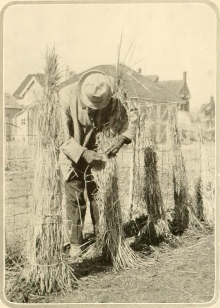 An illustration from House & garden's book of gardens; containing over four hundred illustrations of special flower types, plans and suggestions for landscape work, a complete gardener's calendar of the year's activities, planting and spraying tables, and a portfolio of beautiful gardens in varied sections of the United States and foreign countries, 1921, leaf 123