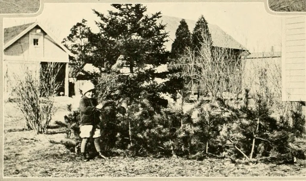 An illustration from House & garden's book of gardens; containing over four hundred illustrations of special flower types, plans and suggestions for landscape work, a complete gardener's calendar of the year's activities, planting and spraying tables, and a portfolio of beautiful gardens in varied sections of the United States and foreign countries, 1921, leaf 123