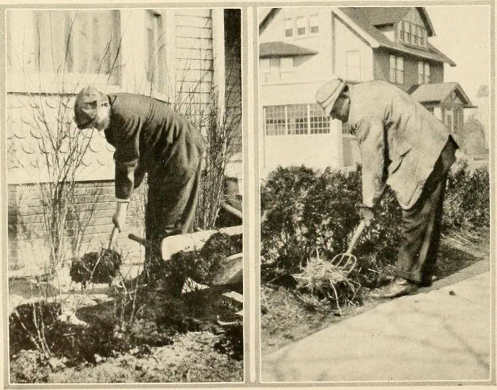 An illustration from House & garden's book of gardens; containing over four hundred illustrations of special flower types, plans and suggestions for landscape work, a complete gardener's calendar of the year's activities, planting and spraying tables, and a portfolio of beautiful gardens in varied sections of the United States and foreign countries, 1921, leaf 123