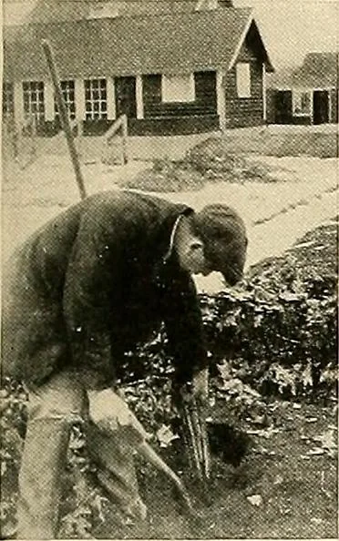 An illustration from House & garden's book of gardens; containing over four hundred illustrations of special flower types, plans and suggestions for landscape work, a complete gardener's calendar of the year's activities, planting and spraying tables, and a portfolio of beautiful gardens in varied sections of the United States and foreign countries, 1921, leaf 124