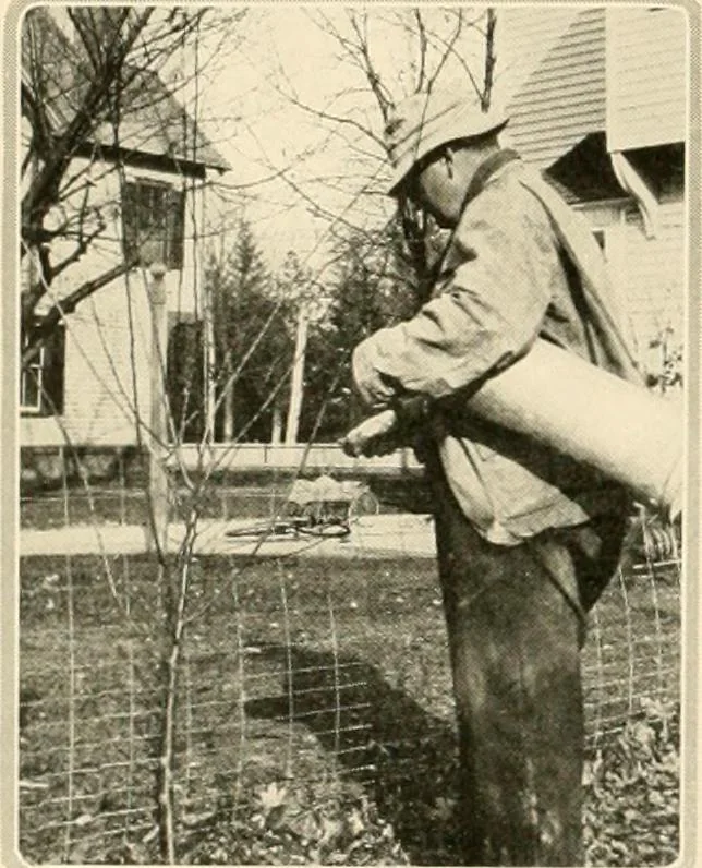 An illustration from House & garden's book of gardens; containing over four hundred illustrations of special flower types, plans and suggestions for landscape work, a complete gardener's calendar of the year's activities, planting and spraying tables, and a portfolio of beautiful gardens in varied sections of the United States and foreign countries, 1921, leaf 129