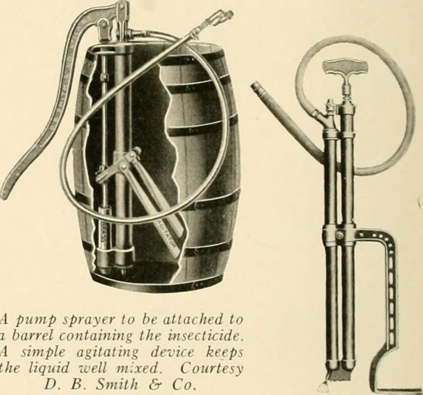 An illustration from House & garden's book of gardens; containing over four hundred illustrations of special flower types, plans and suggestions for landscape work, a complete gardener's calendar of the year's activities, planting and spraying tables, and a portfolio of beautiful gardens in varied sections of the United States and foreign countries, 1921, leaf 129