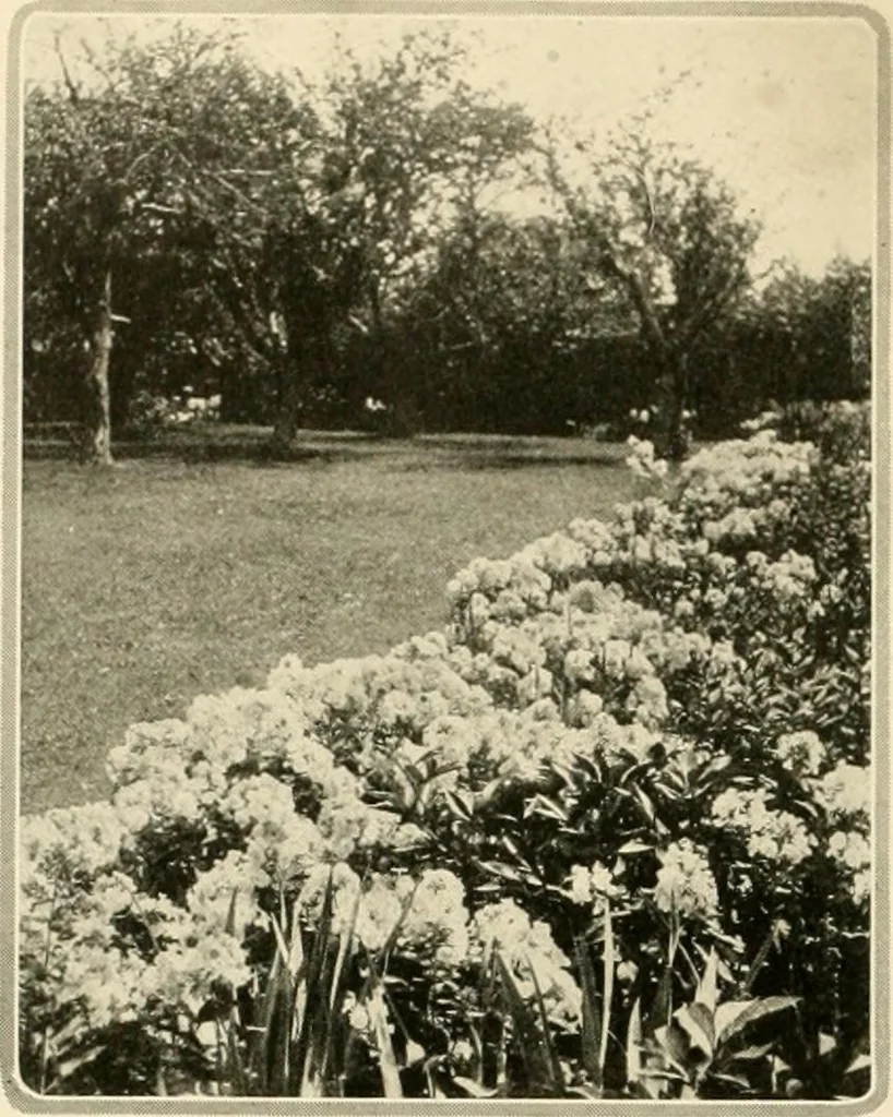 An illustration from House & garden's book of gardens; containing over four hundred illustrations of special flower types, plans and suggestions for landscape work, a complete gardener's calendar of the year's activities, planting and spraying tables, and a portfolio of beautiful gardens in varied sections of the United States and foreign countries, 1921, leaf 13