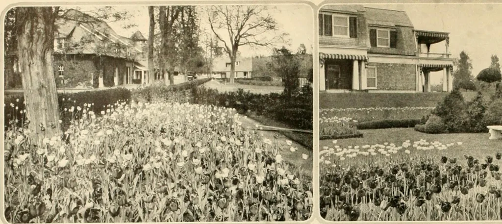 An illustration from House & garden's book of gardens; containing over four hundred illustrations of special flower types, plans and suggestions for landscape work, a complete gardener's calendar of the year's activities, planting and spraying tables, and a portfolio of beautiful gardens in varied sections of the United States and foreign countries, 1921, leaf 21
