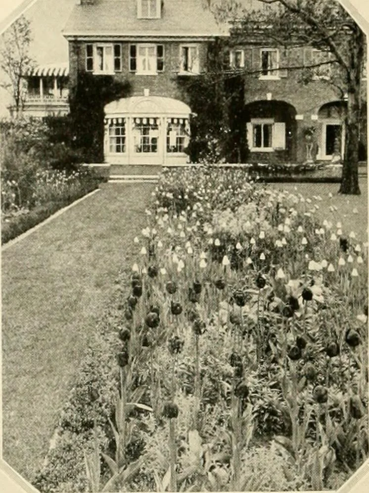 An illustration from House & garden's book of gardens; containing over four hundred illustrations of special flower types, plans and suggestions for landscape work, a complete gardener's calendar of the year's activities, planting and spraying tables, and a portfolio of beautiful gardens in varied sections of the United States and foreign countries, 1921, leaf 21