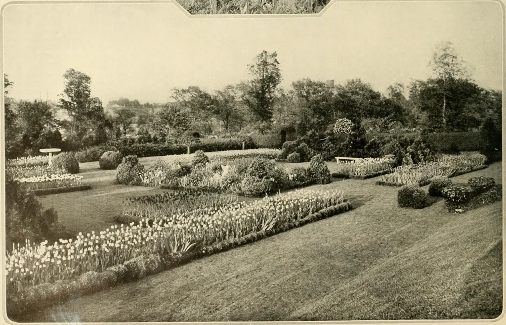 An illustration from House & garden's book of gardens; containing over four hundred illustrations of special flower types, plans and suggestions for landscape work, a complete gardener's calendar of the year's activities, planting and spraying tables, and a portfolio of beautiful gardens in varied sections of the United States and foreign countries, 1921, leaf 21