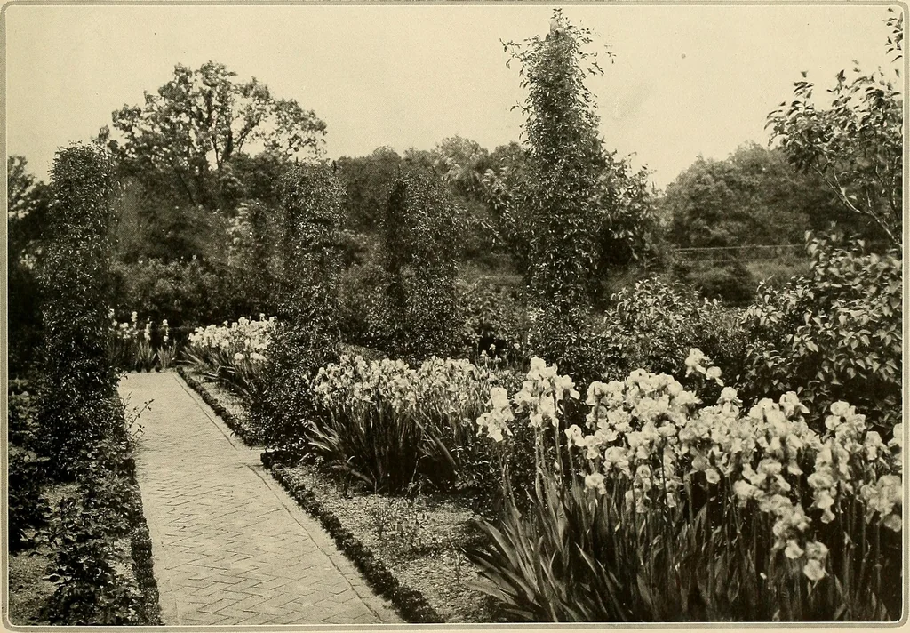An illustration from House & garden's book of gardens; containing over four hundred illustrations of special flower types, plans and suggestions for landscape work, a complete gardener's calendar of the year's activities, planting and spraying tables, and a portfolio of beautiful gardens in varied sections of the United States and foreign countries, 1921, leaf 22