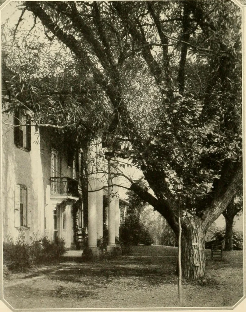 An illustration from House & garden's book of gardens; containing over four hundred illustrations of special flower types, plans and suggestions for landscape work, a complete gardener's calendar of the year's activities, planting and spraying tables, and a portfolio of beautiful gardens in varied sections of the United States and foreign countries, 1921, leaf 25