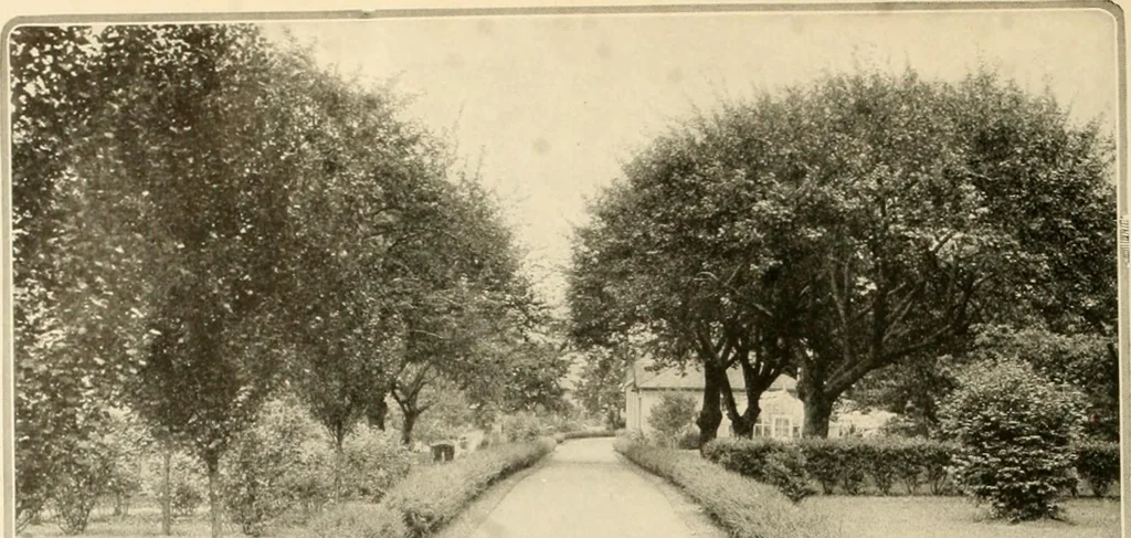 An illustration from House & garden's book of gardens; containing over four hundred illustrations of special flower types, plans and suggestions for landscape work, a complete gardener's calendar of the year's activities, planting and spraying tables, and a portfolio of beautiful gardens in varied sections of the United States and foreign countries, 1921, leaf 27
