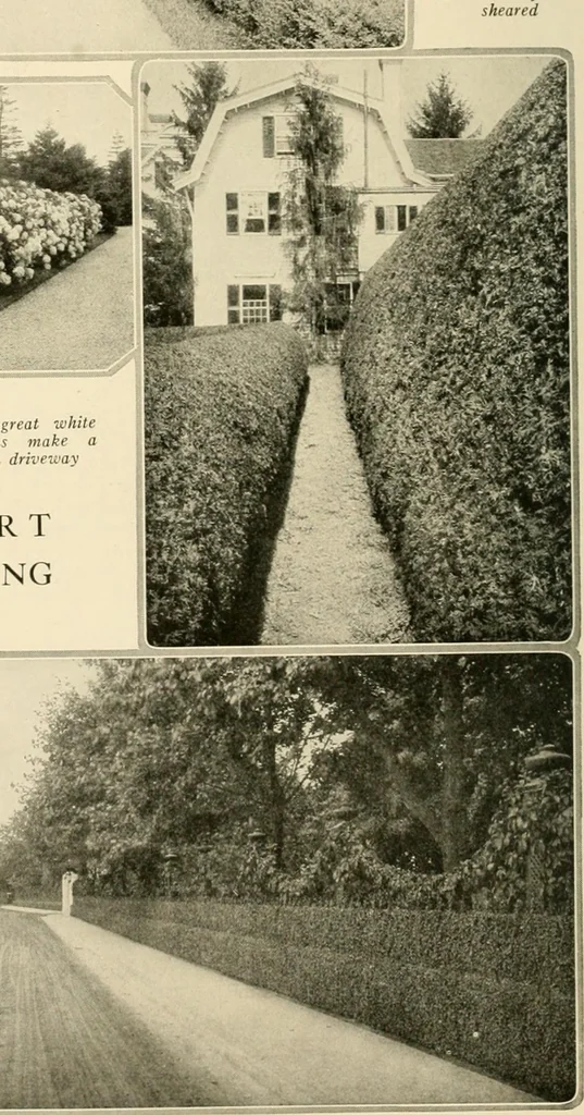 An illustration from House & garden's book of gardens; containing over four hundred illustrations of special flower types, plans and suggestions for landscape work, a complete gardener's calendar of the year's activities, planting and spraying tables, and a portfolio of beautiful gardens in varied sections of the United States and foreign countries, 1921, leaf 27