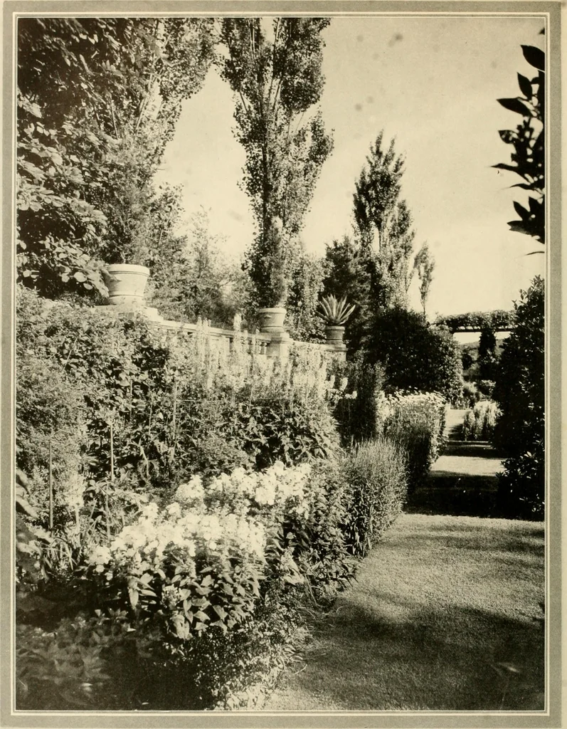 An illustration from House & garden's book of gardens; containing over four hundred illustrations of special flower types, plans and suggestions for landscape work, a complete gardener's calendar of the year's activities, planting and spraying tables, and a portfolio of beautiful gardens in varied sections of the United States and foreign countries, 1921, leaf 31