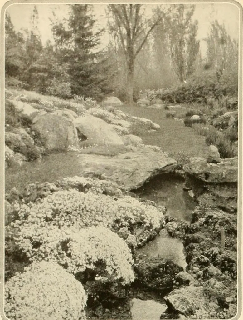 An illustration from House & garden's book of gardens; containing over four hundred illustrations of special flower types, plans and suggestions for landscape work, a complete gardener's calendar of the year's activities, planting and spraying tables, and a portfolio of beautiful gardens in varied sections of the United States and foreign countries, 1921, leaf 37
