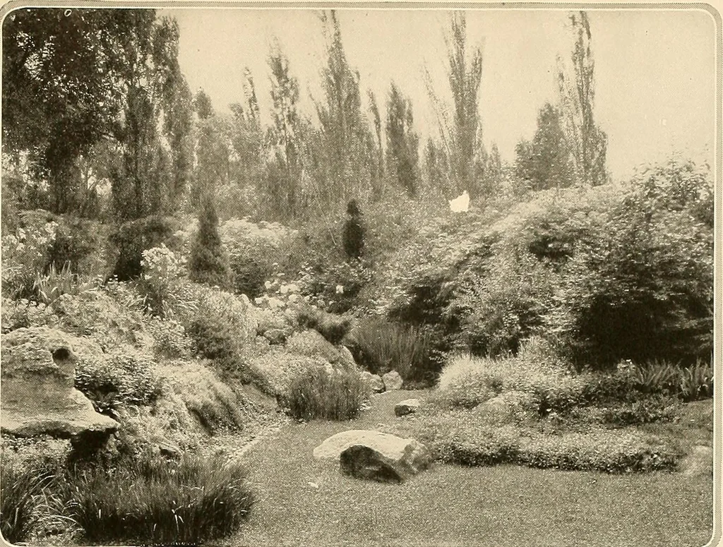 An illustration from House & garden's book of gardens; containing over four hundred illustrations of special flower types, plans and suggestions for landscape work, a complete gardener's calendar of the year's activities, planting and spraying tables, and a portfolio of beautiful gardens in varied sections of the United States and foreign countries, 1921, leaf 38
