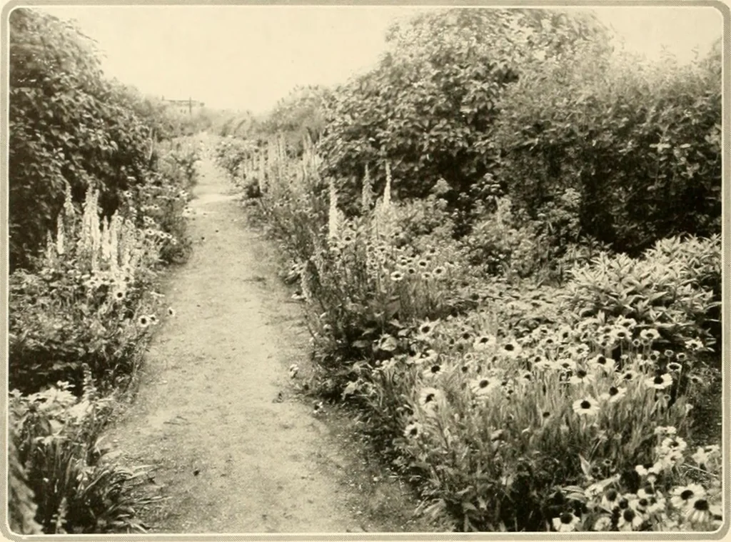 An illustration from House & garden's book of gardens; containing over four hundred illustrations of special flower types, plans and suggestions for landscape work, a complete gardener's calendar of the year's activities, planting and spraying tables, and a portfolio of beautiful gardens in varied sections of the United States and foreign countries, 1921, leaf 39