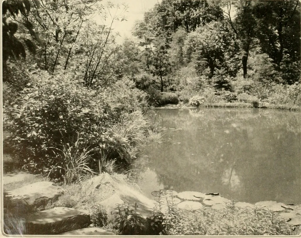 An illustration from House & garden's book of gardens; containing over four hundred illustrations of special flower types, plans and suggestions for landscape work, a complete gardener's calendar of the year's activities, planting and spraying tables, and a portfolio of beautiful gardens in varied sections of the United States and foreign countries, 1921, leaf 43