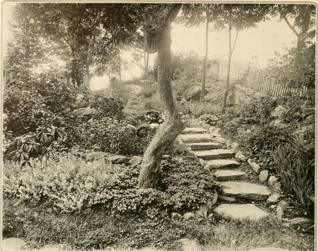 An illustration from House & garden's book of gardens; containing over four hundred illustrations of special flower types, plans and suggestions for landscape work, a complete gardener's calendar of the year's activities, planting and spraying tables, and a portfolio of beautiful gardens in varied sections of the United States and foreign countries, 1921, leaf 59