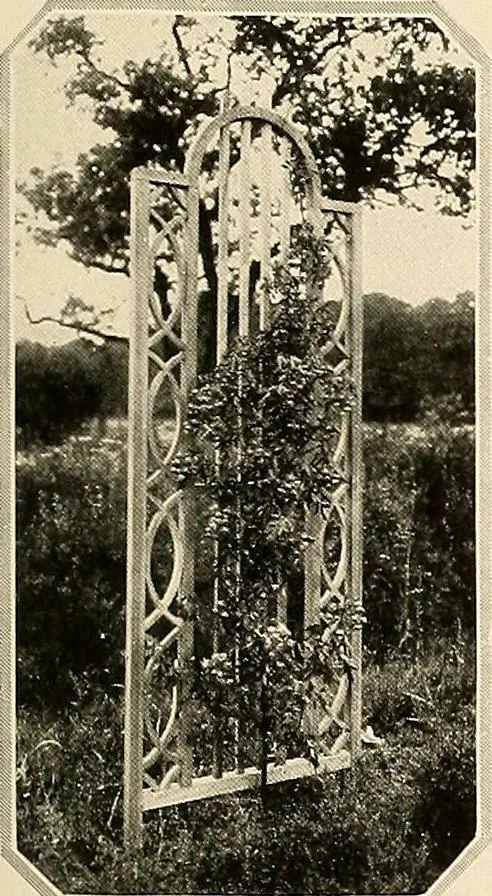 An illustration from House & garden's book of gardens; containing over four hundred illustrations of special flower types, plans and suggestions for landscape work, a complete gardener's calendar of the year's activities, planting and spraying tables, and a portfolio of beautiful gardens in varied sections of the United States and foreign countries, 1921, leaf 60