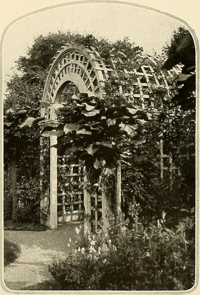 An illustration from House & garden's book of gardens; containing over four hundred illustrations of special flower types, plans and suggestions for landscape work, a complete gardener's calendar of the year's activities, planting and spraying tables, and a portfolio of beautiful gardens in varied sections of the United States and foreign countries, 1921, leaf 60