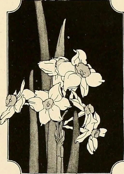 An illustration from House & garden's book of gardens; containing over four hundred illustrations of special flower types, plans and suggestions for landscape work, a complete gardener's calendar of the year's activities, planting and spraying tables, and a portfolio of beautiful gardens in varied sections of the United States and foreign countries, 1921, leaf 66