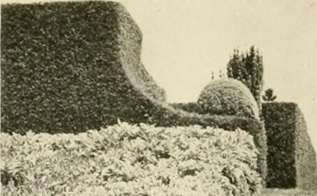 An illustration from House & garden's book of gardens; containing over four hundred illustrations of special flower types, plans and suggestions for landscape work, a complete gardener's calendar of the year's activities, planting and spraying tables, and a portfolio of beautiful gardens in varied sections of the United States and foreign countries, 1921, leaf 75