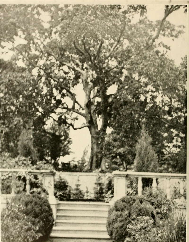 An illustration from House & garden's book of gardens; containing over four hundred illustrations of special flower types, plans and suggestions for landscape work, a complete gardener's calendar of the year's activities, planting and spraying tables, and a portfolio of beautiful gardens in varied sections of the United States and foreign countries, 1921, leaf 77