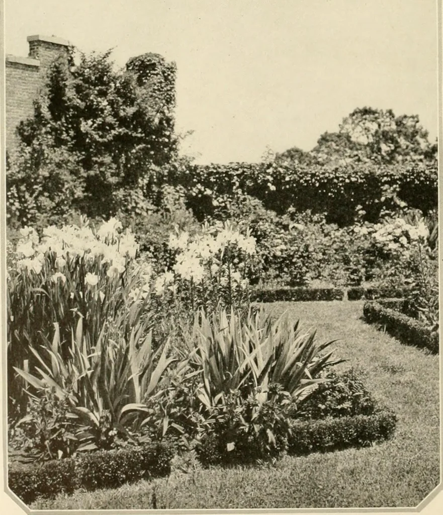 An illustration from House & garden's book of gardens; containing over four hundred illustrations of special flower types, plans and suggestions for landscape work, a complete gardener's calendar of the year's activities, planting and spraying tables, and a portfolio of beautiful gardens in varied sections of the United States and foreign countries, 1921, leaf 79