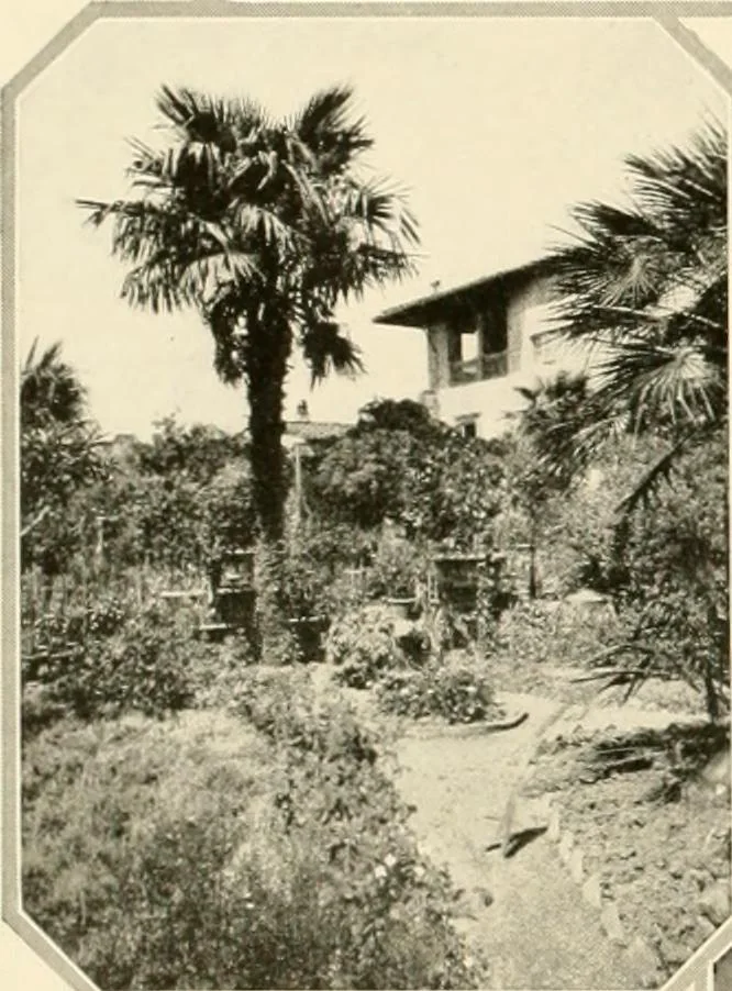 An illustration from House & garden's book of gardens; containing over four hundred illustrations of special flower types, plans and suggestions for landscape work, a complete gardener's calendar of the year's activities, planting and spraying tables, and a portfolio of beautiful gardens in varied sections of the United States and foreign countries, 1921, leaf 89