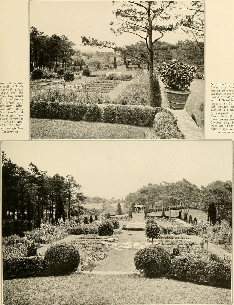 An illustration from House & garden's book of gardens; containing over four hundred illustrations of special flower types, plans and suggestions for landscape work, a complete gardener's calendar of the year's activities, planting and spraying tables, and a portfolio of beautiful gardens in varied sections of the United States and foreign countries, 1921, leaf 90