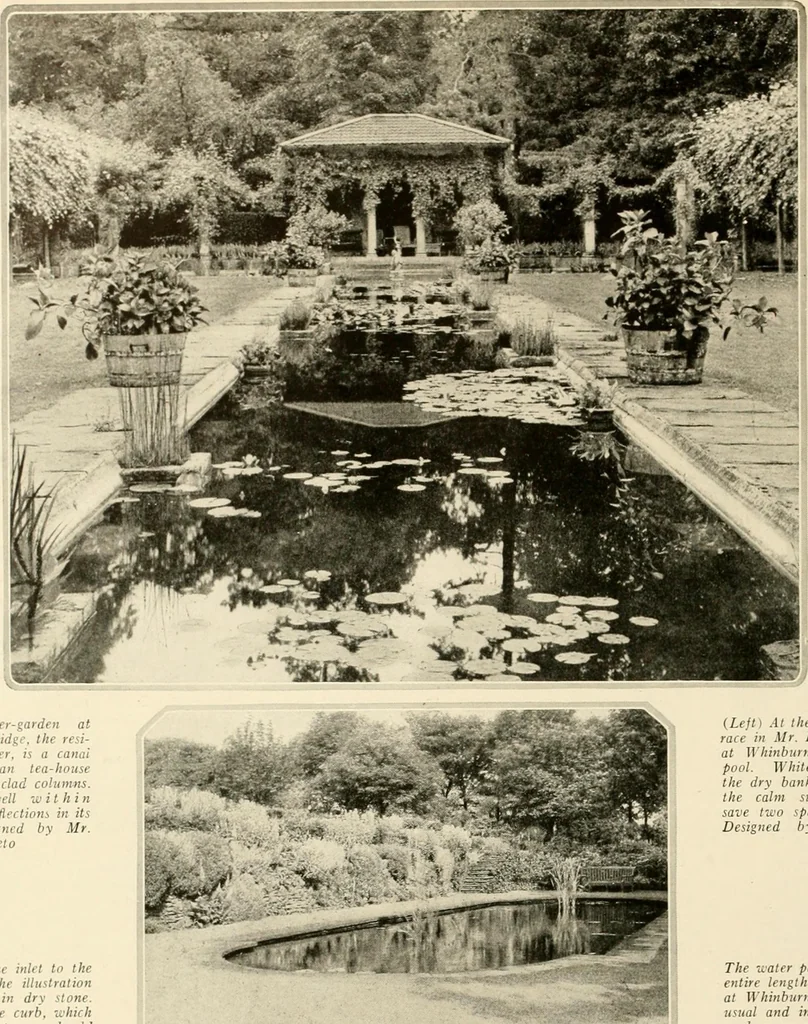 An illustration from House & garden's book of gardens; containing over four hundred illustrations of special flower types, plans and suggestions for landscape work, a complete gardener's calendar of the year's activities, planting and spraying tables, and a portfolio of beautiful gardens in varied sections of the United States and foreign countries, 1921, leaf 93