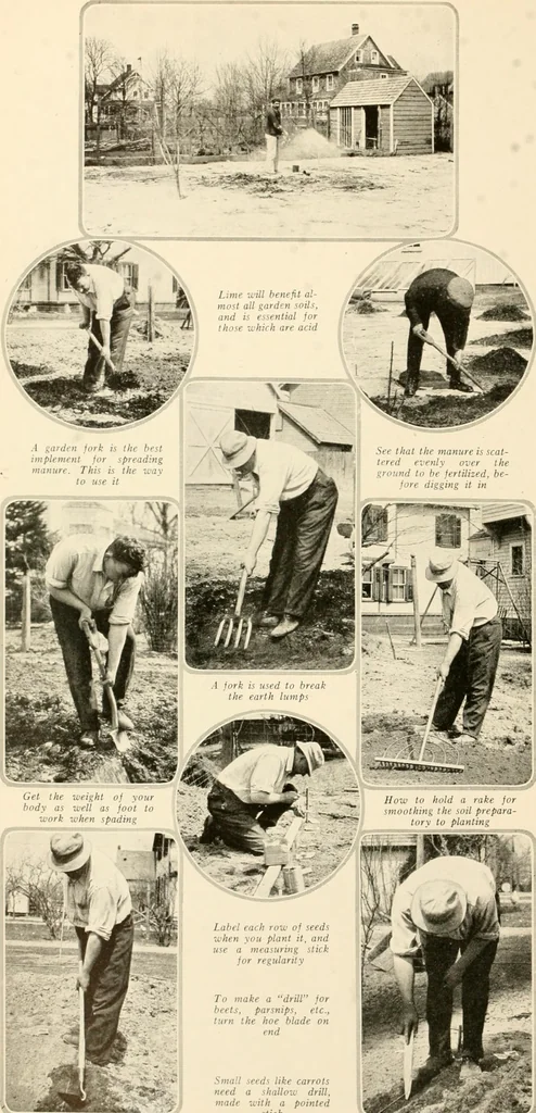 An illustration from House & garden's book of gardens; containing over four hundred illustrations of special flower types, plans and suggestions for landscape work, a complete gardener's calendar of the year's activities, planting and spraying tables, and a portfolio of beautiful gardens in varied sections of the United States and foreign countries, 1921, leaf 97