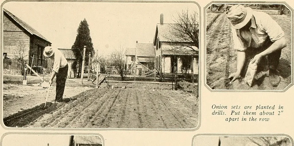 An illustration from House & garden's book of gardens; containing over four hundred illustrations of special flower types, plans and suggestions for landscape work, a complete gardener's calendar of the year's activities, planting and spraying tables, and a portfolio of beautiful gardens in varied sections of the United States and foreign countries, 1921, leaf 98