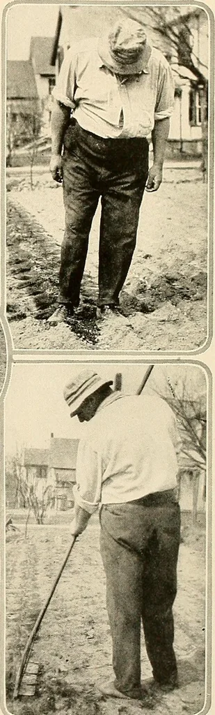 An illustration from House & garden's book of gardens; containing over four hundred illustrations of special flower types, plans and suggestions for landscape work, a complete gardener's calendar of the year's activities, planting and spraying tables, and a portfolio of beautiful gardens in varied sections of the United States and foreign countries, 1921, leaf 98