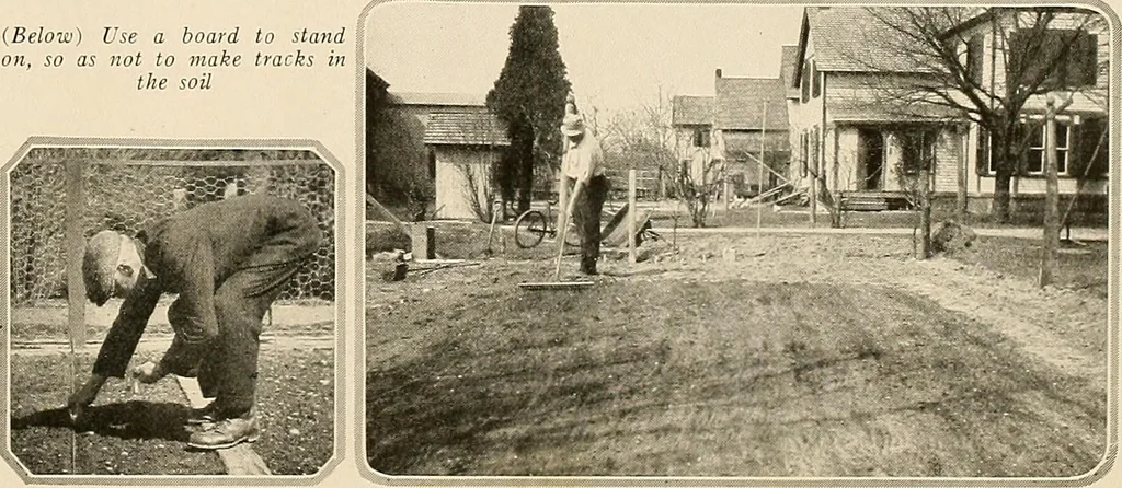 An illustration from House & garden's book of gardens; containing over four hundred illustrations of special flower types, plans and suggestions for landscape work, a complete gardener's calendar of the year's activities, planting and spraying tables, and a portfolio of beautiful gardens in varied sections of the United States and foreign countries, 1921, leaf 98