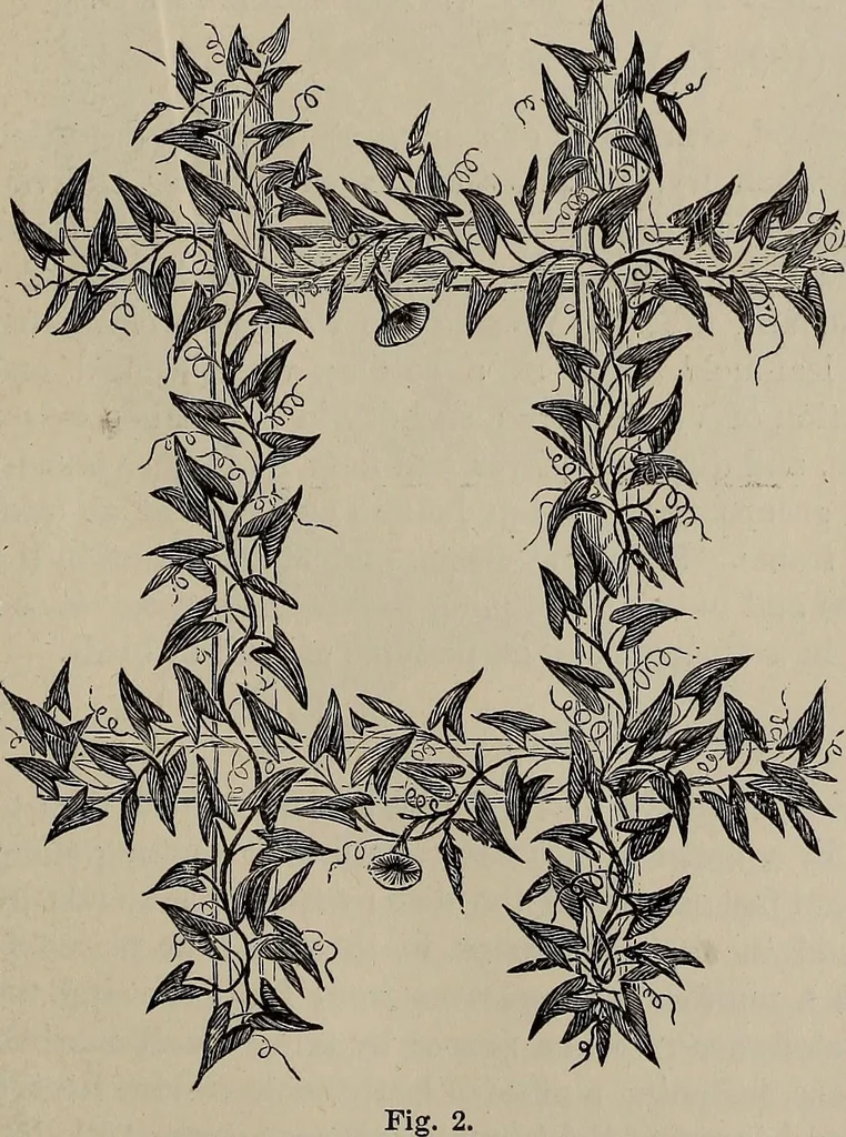 An illustration from Household elegancies : suggestions in household art and tasteful home decorations, 1876, leaf 104
